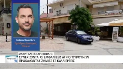 Αγριογούρουνα σε Μάκρη και Δίκελλα – Σε επιφυλακή το Δασαρχείο