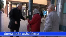 Árvácskák ajándékba