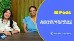 Discover the Key Role of Crocodiles with Dr. Miryam Venegas | El Pods | Cool Zone