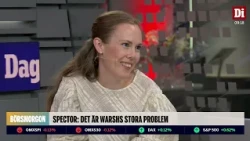 Experten: "Svensk ekonomi ser ut att må mycket bättre än vad vi trodde"