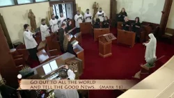Readings and Homily - 07/03/2026 - Fr. Patrick