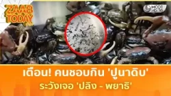 คนชอบกิน 'ปูนาดิบ' ระวัง! เจอปลิง - พยาธิ | แซ่บทูเดย์