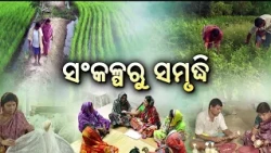 Krushi Darshan | ସଂକଳ୍ପରୁ ସମୃଦ୍ଧି | Success Story of Odisha Farmers & Self-Help Groups