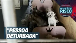 Veterinarian accused of animal abuse