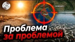 Heatwave hits Europe: hundreds of tons of fish die in Hungary, Italy drying up