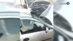 MUSCEL TV NEWS 06/25/2026 ACCIDENT CAUSED BY NEGLIGENCE