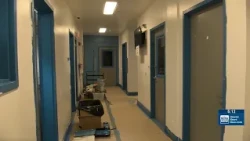 Volunteers clean, paint IHS shelters to mark anniversary