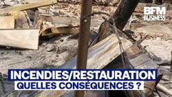 Gironde Wildfires/Hospitality: "A Catastrophic Drop in Revenue" (F. Chaumès)