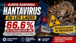 HANTAVIRUS IN LOS LAGOS: LETHALITY REACHES 66.6% AND PREVENTION MEASURES REINFORCED