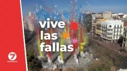Experience the Fallas | 2027 Pre-selections: Algirós, Quatre Carreres, and Russafa B