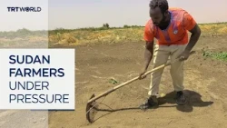 Sudan farmers squeezed by rising costs and Iran war