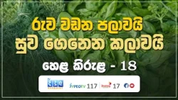 රුව වඩන පලාවයි - සුව ගෙනෙන කලාවයි | Hela Kirula | EP.18