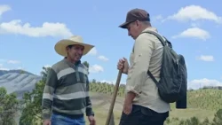This is where the potatoes that reach thousands of Antioquian homes come from | The Countryside a...