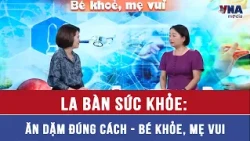 La bàn sức khỏe: Ăn dặm đúng cách - Bé khỏe, mẹ vui - VNAMedia