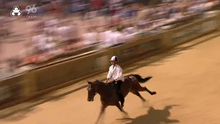 2026 Palio di Provenzano, the fourth heat of the Tratta