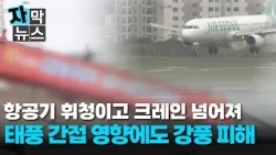 [Subtitled News] Swaying and toppling... Damage from strong winds due to indirect effects of a ty...