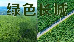 中国治沙人创造“生态奇迹”！从荒山沙海到绿水青山，三北防护林工程是怎样筑就“绿色长城”的？| LIVE NOW