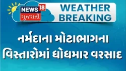 Rainy weather in Narmada district | નર્મદાના મોટાભાગના વિસ્તારોમાં ધોધમાર વરસાદ | Rainy Weather