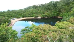 「まさに桃源郷」木々に囲まれ静かに水をたたえる夜叉ヶ池　落差10メートルの滝や樹齢400年の巨木に出合い山頂を目指す　片道2時間半の「小旅」 （2026年9月3日放送）