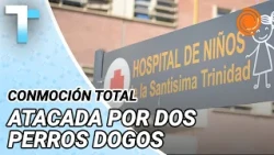 2-year-old girl attacked by Dogo Argentinos in Córdoba has died: "I heard the screams"