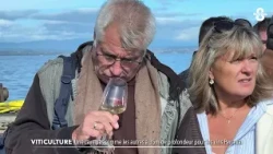 The Benefits of Lake Geneva on Savoy Wine
