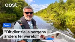 Park Ranger Egbert spots 'Dutch panda' in the Weerribben | RTV Oost