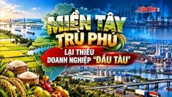 Prosperous Mekong Delta lacks 'leading' enterprises | Can Tho