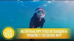 Ақтаулық ару теңіз астындағы тіршілікті таспалап жүр