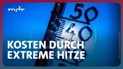 Abgebrannt und ausgedörrt: Was kosten uns die Hitzesommer? | Fakt ist! | MDR