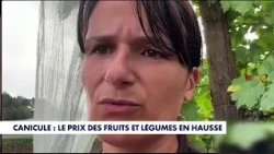 Karine Duc: "Farmers are going to have a very difficult autumn"