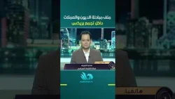 Medhat El-Sherif reveals details on the debt and currency swap file within the BRICS bloc and its...
