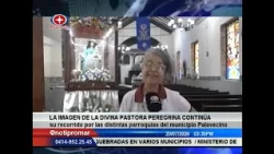 The image of the Divina Pastora continues its journey through the various parishes in Palavecino