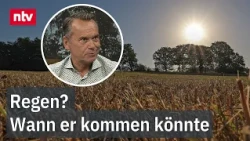 Heatwave in Germany – Is an end in sight? | ntv