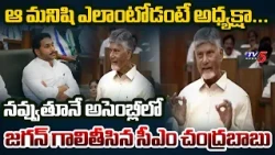 CM Chandrababu Sensational Comments on YS Jagan in AP Assembly | TV5 News
