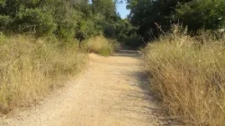 Terrassa torna a nivell 4 del Pla Alfa per perill extrem d'incendi forestal