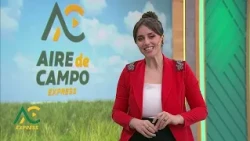 San Luis and Santa Fe: Two Cattle-Ranching Provinces - Aire De Campo Express