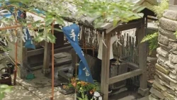 Florist | A Florist Living with Flowers: The Floral Chozuya Blooming at Fukushima Hachimangu Shri...