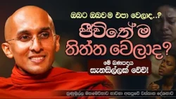 ඔබටත් ජීවිතේම තිත්ත වෙලාද? එපා වෙලාද? | මහමෙව්නාව අසපුව - හුණුමුල්ල |Ven. Ankubure Amithadeepa Thero