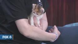 New Day Cleveland: Feral Friends of Shaker