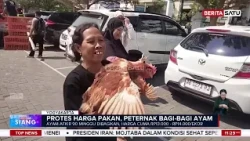 Aksi Unik Peternak DIY Bagikan 1.500 Ayam di Malioboro Protes Harga Pakan #BeritaSatu