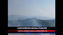 ZJARR NË NJË SIPËRFAQE PYJORE NË IBALLE TË FUSHË-ARRËZIT