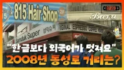[한글날 특집] 2008년 동성로 간판들 점검해 봤습니다｜#티클모아