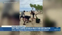 Volunteers plant first trees for Kailua Beach Park dune restoration