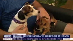 2 men charged after dozens of neglected dogs abandoned, deputies say