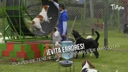 Avoid Mistakes! Keys to Responsible Pet Ownership - TvAgro by Juan Gonzalo Angel
