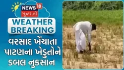 Patan Draught News | વરસાદ ખેંચાતા પાટણના ખેડુતોને ડબલ નુકસાન | Weather |Rain |Monsoon |Farmers News