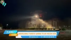 Niderlandlı turistə Şəkidə itlər hücum edib