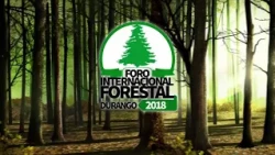 foro isima spot