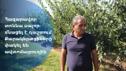 Հազարավոր տոննա սալոր մնացել է դաշտում․ Քարակերտցիները փակել են ավտոմայրուղին