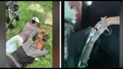 Two brothers intercepted and homemade firearm found in Costanera Sur